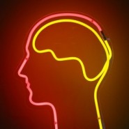 brain neon