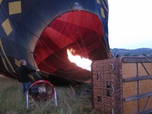 IMG_1559 IMG 1559 300x225 IMG 1559