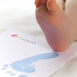 Baby Ink (SMART 100)