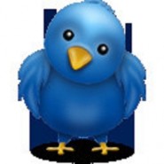 twitter bird