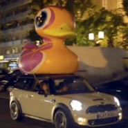 miniWduck
