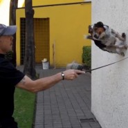 Jumpy