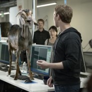 Zuckberg+Goat