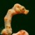 Profile picture of Dirk Werner-Lutrop