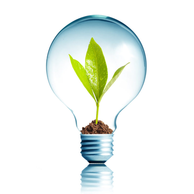 This new accelerator is aiming to connect clean energy start-ups with global markets