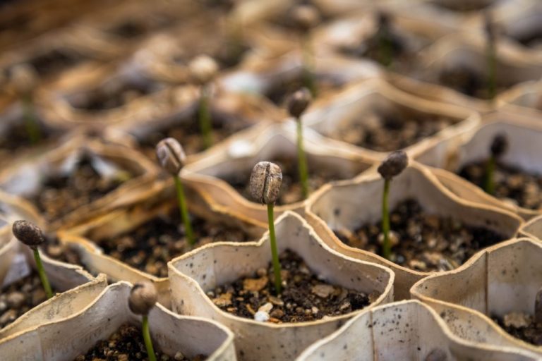 The five simple strategies you can do today to grow influence in your organisation