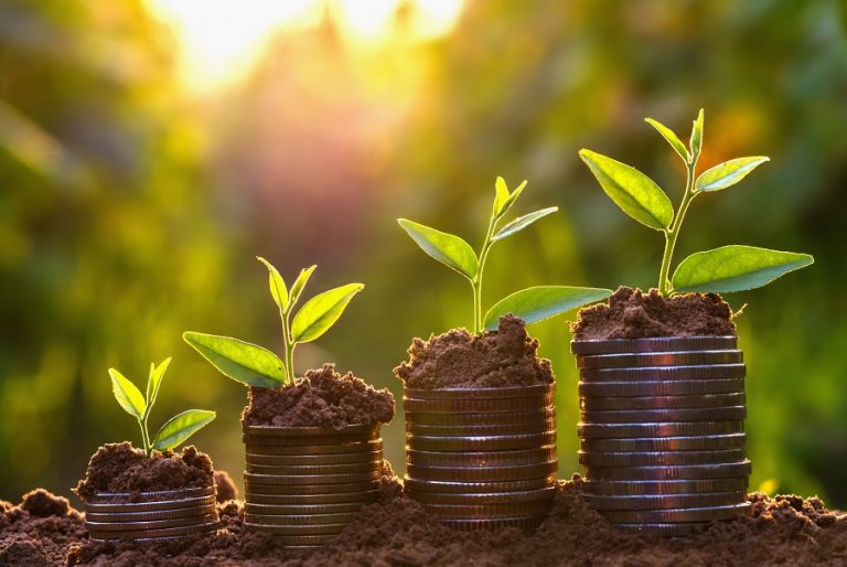 Entrepreneurial approaches in tackling your business’ growing pains